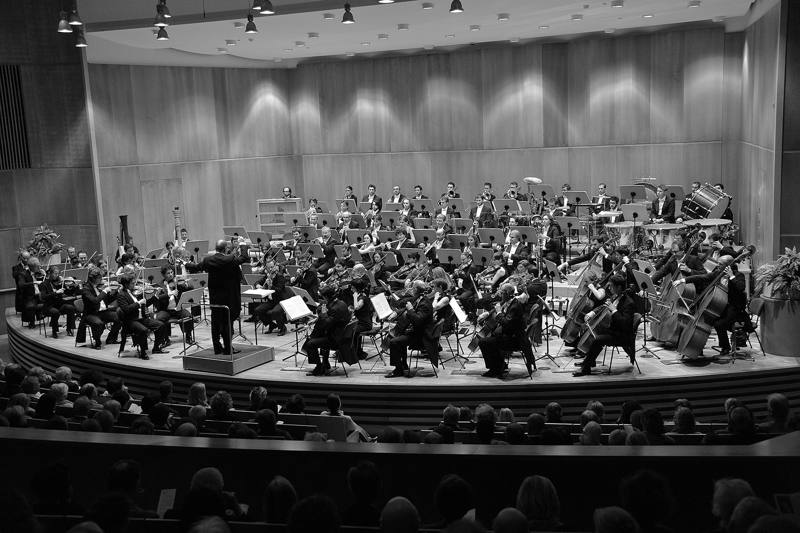 Haydn-Orchster